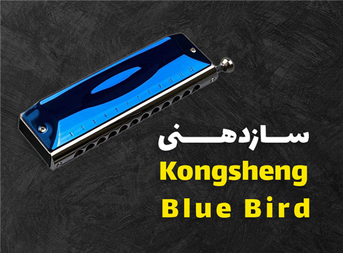 معرفی سازدهنی Kongsheng Bluebird | انتخابی هوشمندانه برای ورود به دنیای هارمونیکا