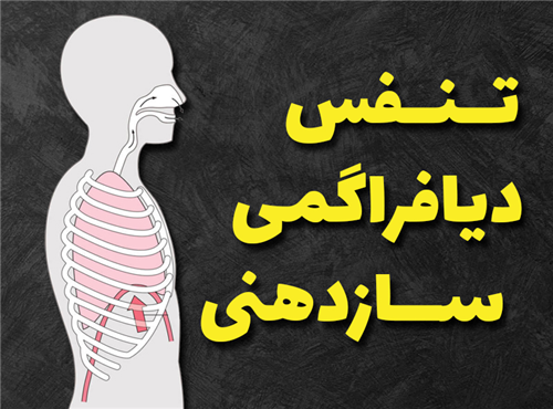 آموزش تنفس دیافراگمی در ساز دهنی