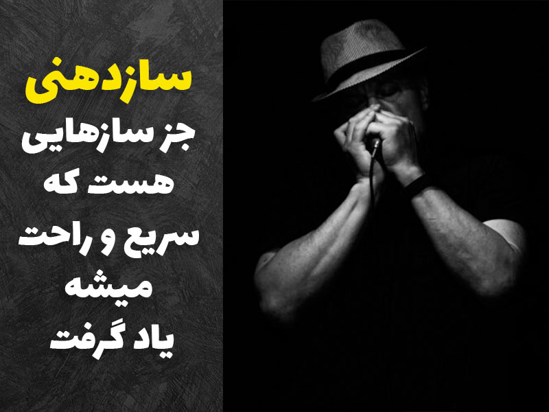سازدهنی سازی هست که میشه اون رو سریع و راحت یاد گرفت
