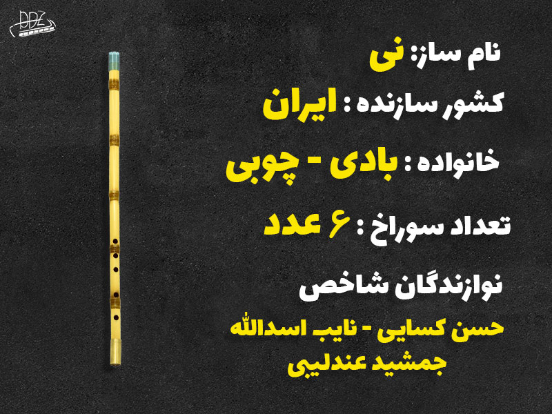 مشخصات کلی ساز نی