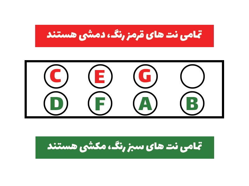 چیدمان نت های یک اکتاو از سازدهنی کروماتیک